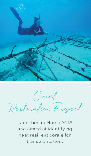 Coral Restoration Project Launched in March 2018 and aimed at identifying heat resilient corals for transplantation