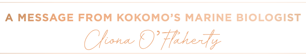 A Message From Kokomo's Marine Biologist Cliona O'Flaherty