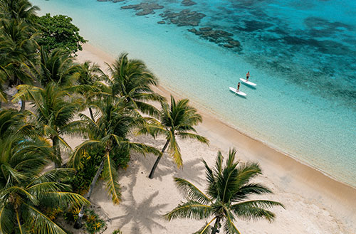 A view of the palm tree lined beach with a couple paddling stand up paddle boards in the water neary by.
