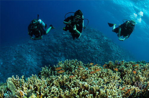 Two guests scuba diving amongst colourful coral at Kokomo Island Fiji