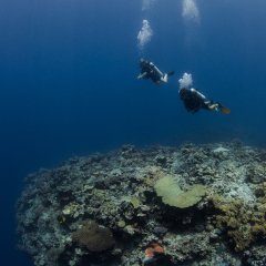 Divers viewing a coral outcropping with vast empty ocean behind them at Kokomo Island Fiji