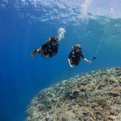Drift Dives at Kokomo Private Island Fiji