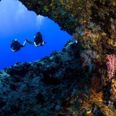 Swimthroughs at Kokomo Private Island Fiji