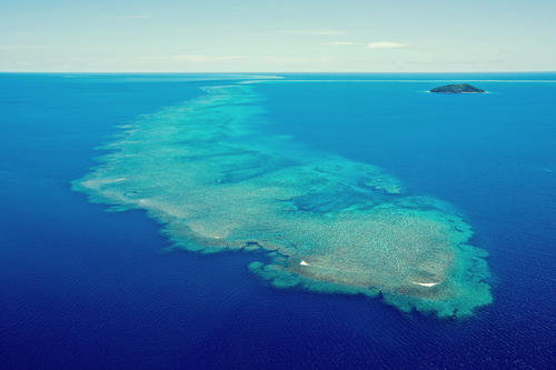 Diving at Kokomo Private Island Fiji