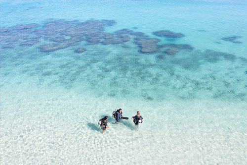 Diving at Kokomo Private Island Fiji.