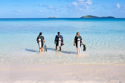 Marine highlights at Kokomo Private Island Fiji.