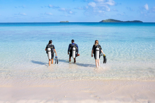 Marine Highlights at Kokomo Private Island Fiji