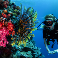 Taking The Next Step at Kokomo Private Island Fiji