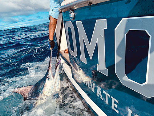 Game Fishing at Kokomo Private Island Fiji