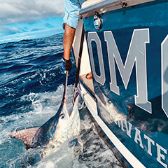 Game Fishing at Kokomo Private Island Fiji