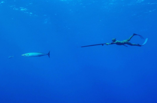 A guest spearfishing on a Kokomo Private Island Fiji fishing trip