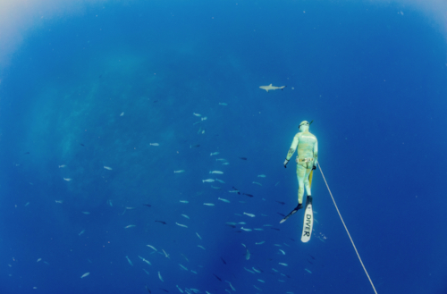 A guest spearfishing on a Kokomo Private Island Fiji fishing trip