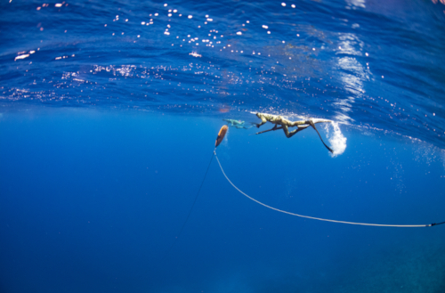 A guest spearfishing on a Kokomo Private Island Fiji fishing trip