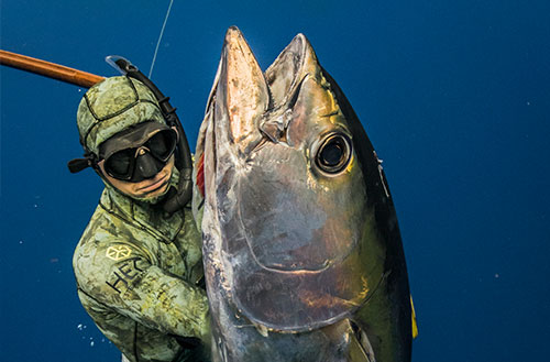 A guest holding a fish that’s been spearfished on a Kokomo Private Island Fiji fishing trip