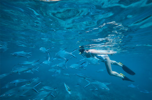 An underwater image of woman snorkeling amongst tropical fish