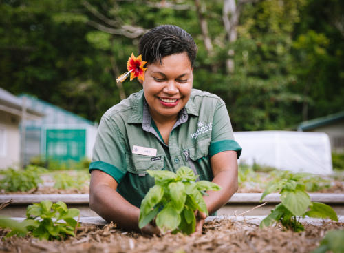 A Kokomo Private Island staff member planting herbs at The Farm