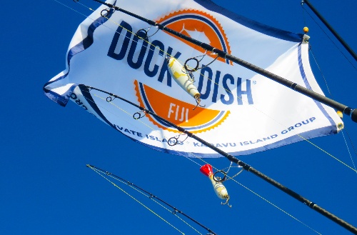 Kite sail with Dock to Dish logo on it