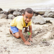 Mangrove Reforestation at Kokomo Private Island Fiji.