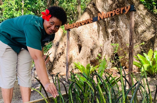 Kokomo Private Island staff member tending to one of the gardens on the island