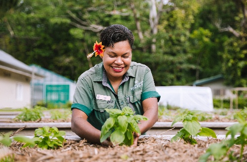 Woman planting a vegetables in the garden