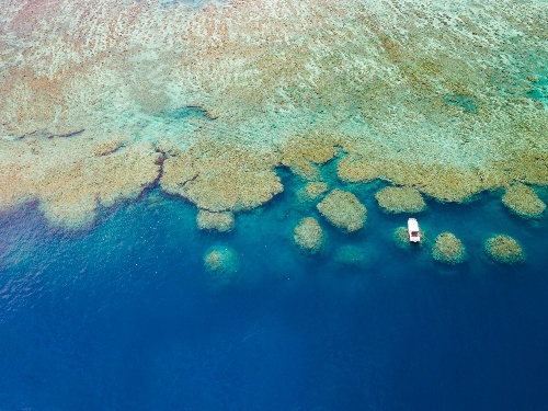 No Take Fishing Zone at Kokomo Private Island Fiji