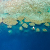 No-Take Fishing Zone at Kokomo Private Island Fiji.