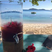 A freshly made health drink served at the Kokomo Private Island Fiji beach