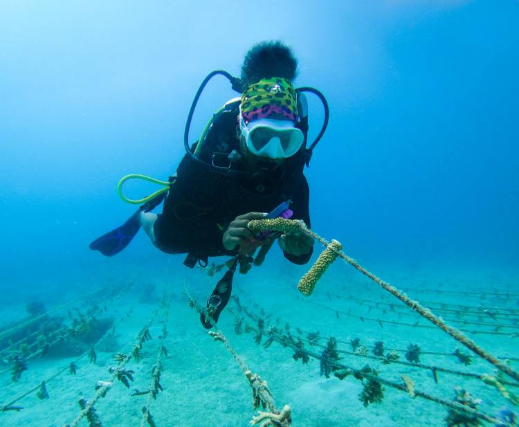 Women’s Dive Day