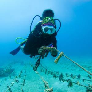 Women’s Dive Day