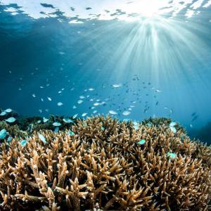 World Ocean Day 2021